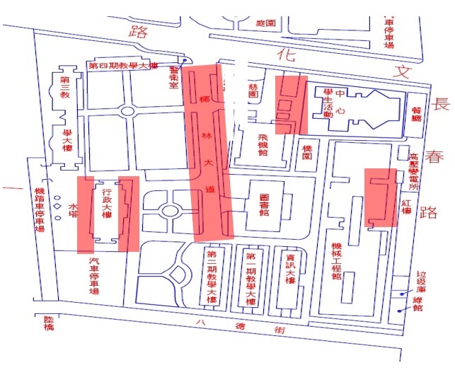 1141020大王椰子樹修剪範圍